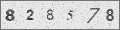 Captchabild